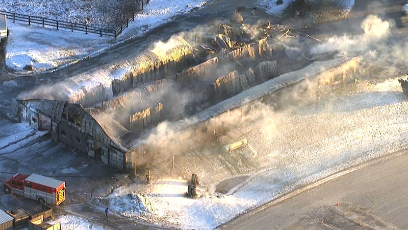 More than 40 horses perish following a fire at Classy Lane Stables Training Centre in Puslinch, Ont., Tuesday, Jan. 5, 2016.