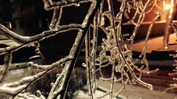 A tree branch can be seen covered in ice, following freezing rain in Barrie, Ont. on Dec. 29, 2015 in this file photo. (Adam Ward/ CTV Barrie)