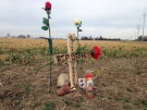 A roadside memorial has been erected for a dead turkey near Chatham, Ont., on Friday, Jan. 8, 2016. (Chris Campbell / CTV Windsor)