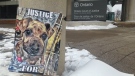 Protesters gathered outside court before the bail hearing of an accused dog abuser in Windsor, Ont., on Thursday, Jan. 14, 2015. (Rich Garton / CTV Windsor)