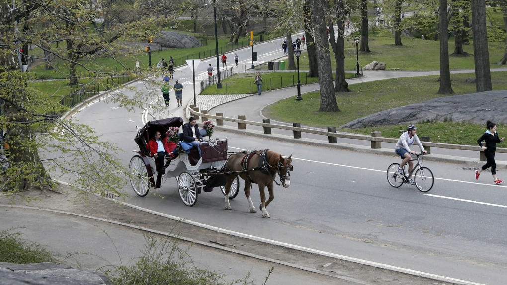 Horse drawn carriage in Central Park