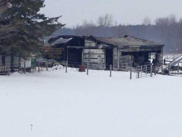 The remains of a barn where 13 horses were killed in a fire is seen near Mount Forest, Ont. on Friday, Jan. 15, 2016. (Scott Miller / CTV London)