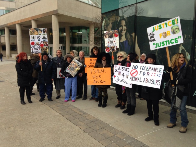 Animal rights activists rally outside a bail hearing for Michael Hill, who is accused of animal abuse, in Windsor, Ont. on Monday, Jan. 18, 2016. (Chris Campbell / CTV Windsor)