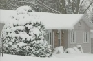 A snow-covered home in Wingham, Ont. on Monday, Jan. 18, 2016. (Scott Miller / CTV London)