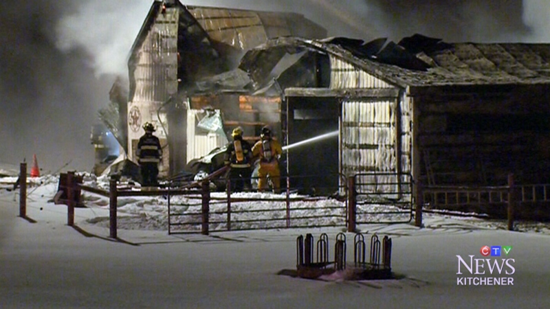  2,100 pigs killed after fire rips though barn