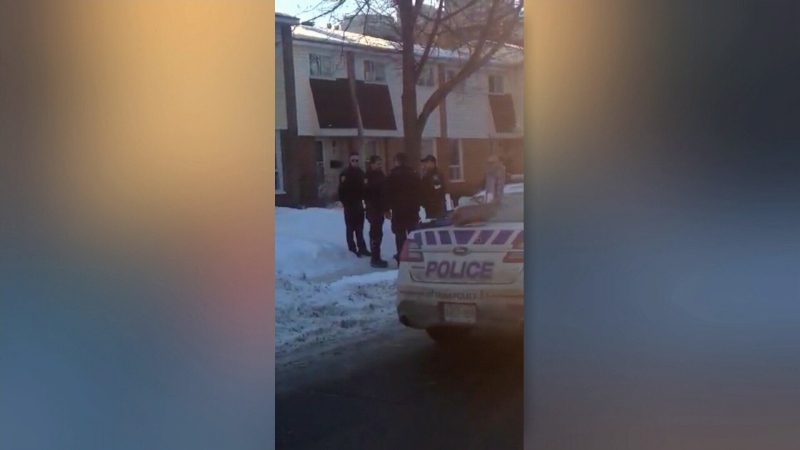 CTV Ottawa: Dog shot by police 