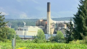 The Catalyst paper and pulp mill in Crofton, B.C. is shown in this undated file photo.