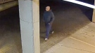 Police released surveillance footage of a man accused of sexually assaulting two women whose door he knocked on Wed., Jan. 27, 2016. (Courtesy Saanich Police)