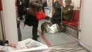 A raccoon investigates fellow passengers on a TTC train in Toronto on Tuesday, Feb. 2, 2016. (Tatyana Marayeva / Twitter)