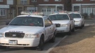 Toronto police cruisers on the scene of a homicide in the area of Wakunda Place near O’Connor Drive.