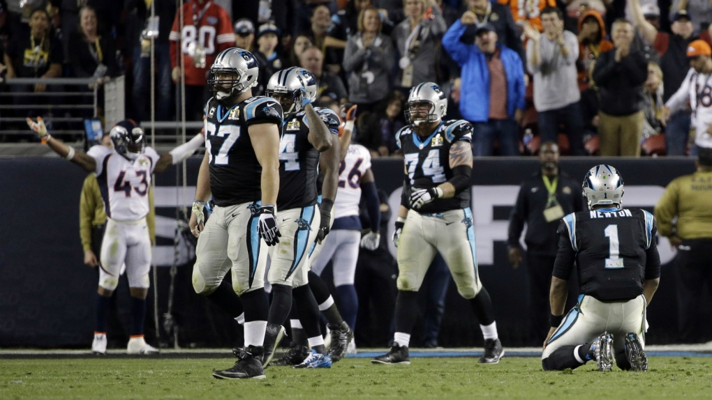 Panthers early favourites for next Super Bowl