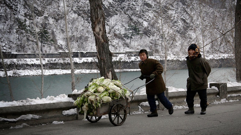 A cart of cabbage in Pyongyang, North Korea