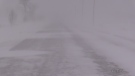 File Photo of a snow squall in Bruce County. (Scott Miller / CTV London)