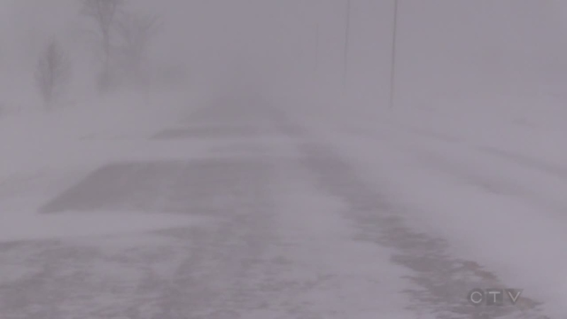 File Photo of a snow squall in Bruce County. (Scott Miller / CTV London)