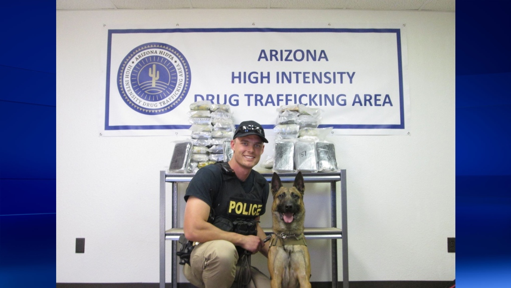 Arizona police dog found cocaine in car
