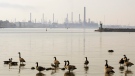 Canadian geese sit on the St.Clair River near the Imperial Oil refinery in Sarnia, Ont., on Friday, Oct. 5, 2007. (THE CANADIAN PRESS/Jacques Boissinot)