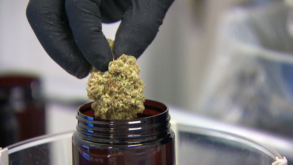 CTV National News: Health Canada's thoughts on pot