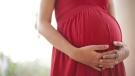 A vitamin D deficiency whilst pregnant could increase the chance of children developing multiple sclerosis (MS) in later life: study. (Twonix Studio / shutterstock.com)