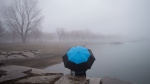 A man sits on the shore of Lake Ontario on a misty day on the lake shore in Toronto, on Thursday, March 10 2016. THE CANADIAN PRESS/Chris Young