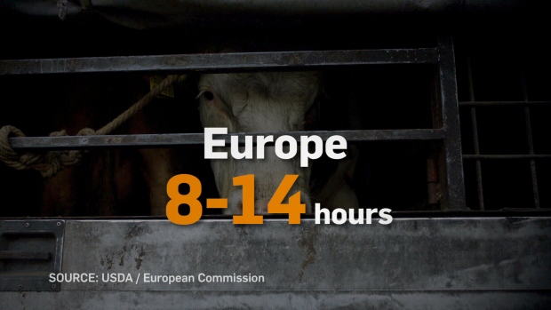 Europe Livestock Rules
