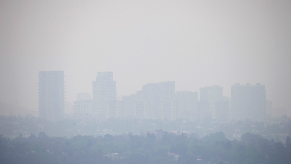Mexico City bans cars due to smog