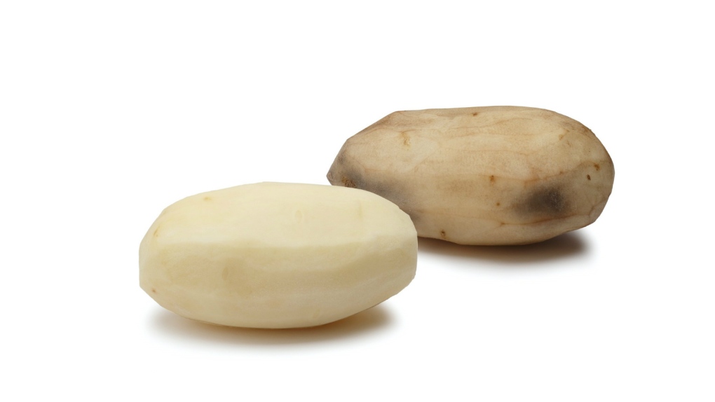 Genetically engineered potato