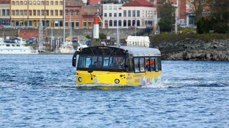 An amphibious Hippo Tours bus is show in Victoria's Inner Harbour in this undated photo. (Facebook)