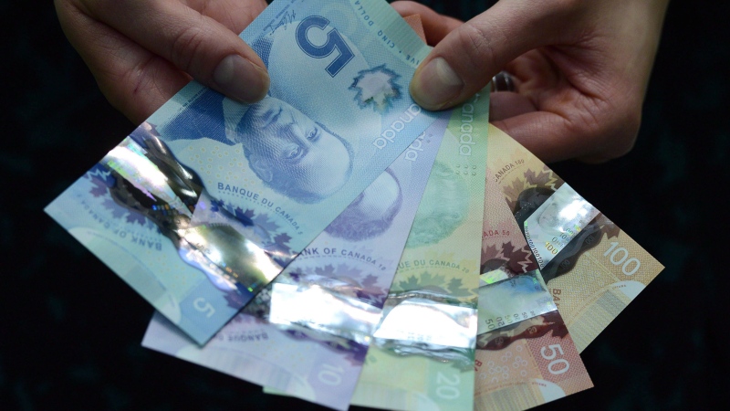 Polymer bank notes are shown during a news conference at the Bank of Canada in Ottawa on April 30, 2013. (THE CANADIAN PRESS/Sean Kilpatrick)