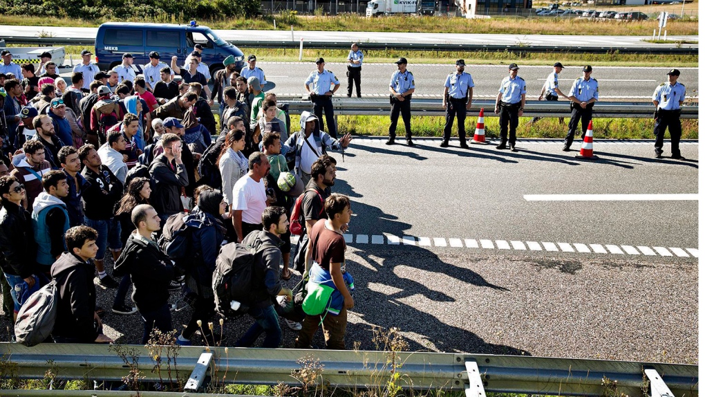Migrants in Denmark 