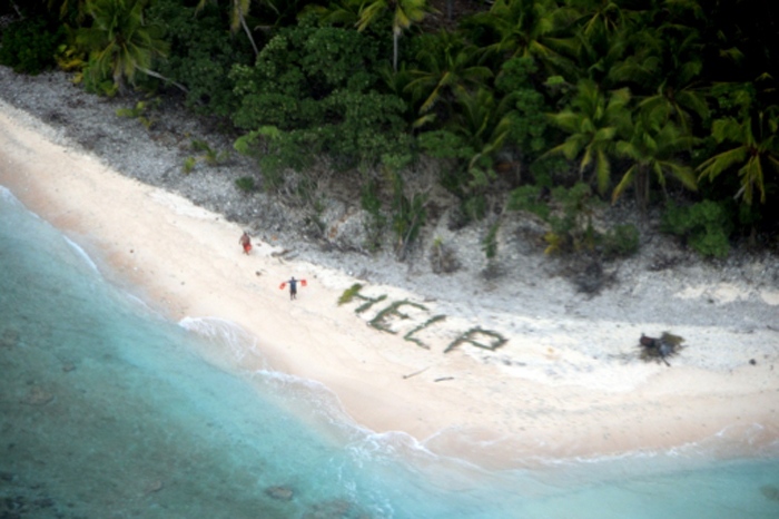 Help spelled out in palm leaves