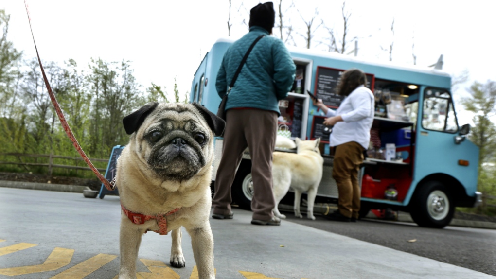 Food trucks for dogs in Seattle
