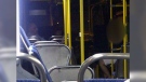 CTV Ottawa: Bus driver's good deed goes viral