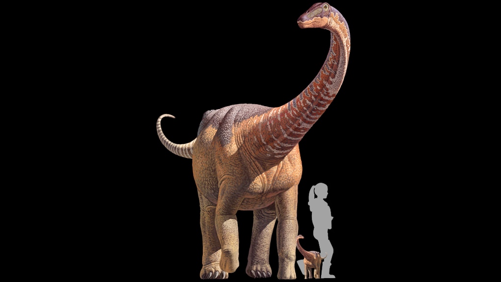 titanosaur dinosaur