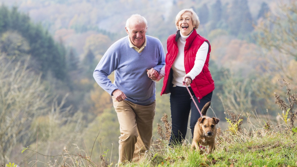 Dog ownsherhip improves senior health