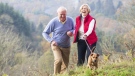 A new study has found that owning a dog could help improve the health of seniors by creating important bonds between pet owners and their canine companions. © SolStock/Istock.com