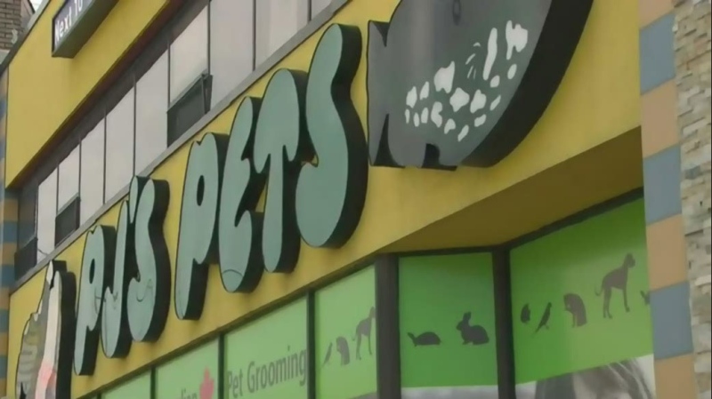 A PJ's Pets location on Toronto's Yonge Street is seen in this photo. 