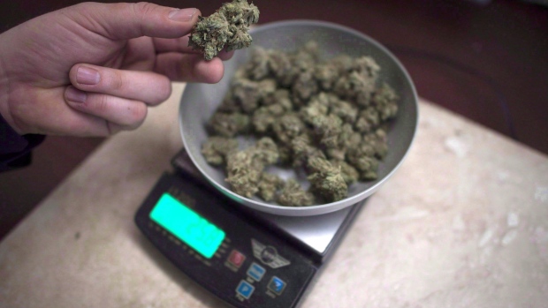 7 in 10 Canadians support marijuana legalization: Nanos poll | CTV News