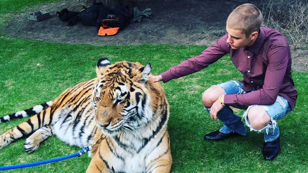 Justin Bieber poses with tiger