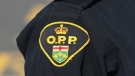 File photo of an Ontario Provincial Police officer. (Lars Hagberg/The Canadian Press)