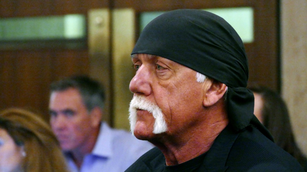 Billionaire thought to finance Hogan's lawsuit