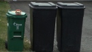 An Ottawa woman is calling for compromise after the City of Ottawa threatened to fine her for using oversized recycling bins.