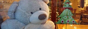 Teddy bear stolen