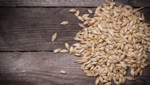 A new Canadian study reports that barley reduces two types of 'bad' cholesterol – LDL and non-HDL – by 7 per cent. (id-art / Istock.com)