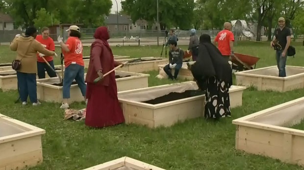 City report encourages community gardens to improve food access
