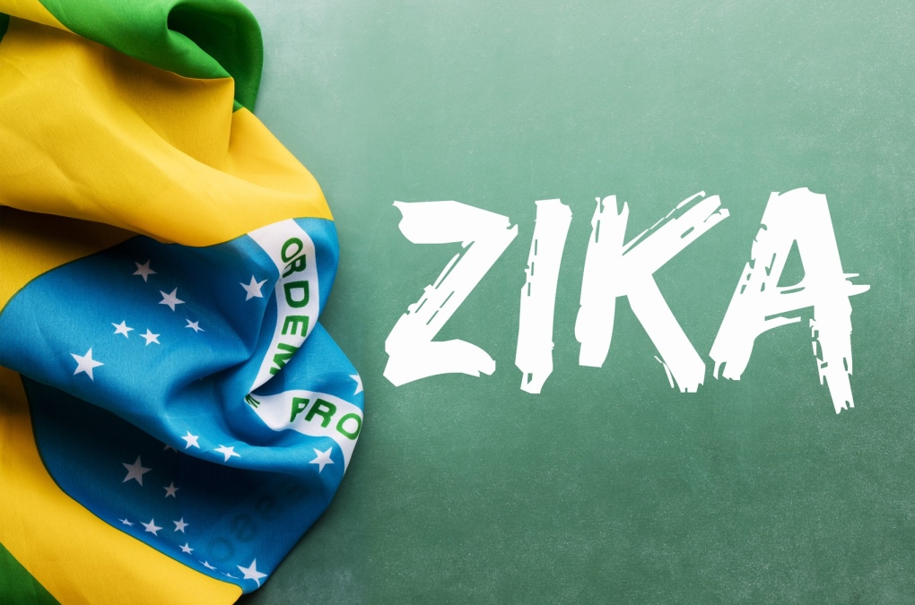 Zika virus in Brazil