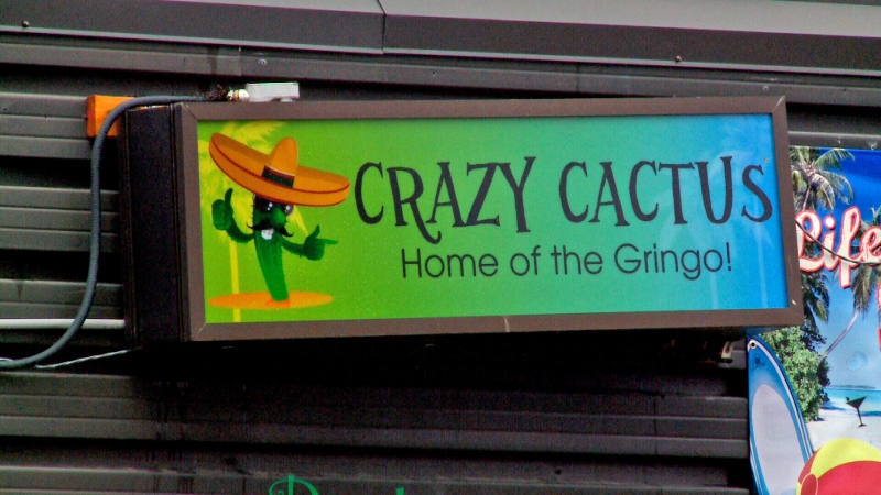 Crazy Cactus Saskatoon
