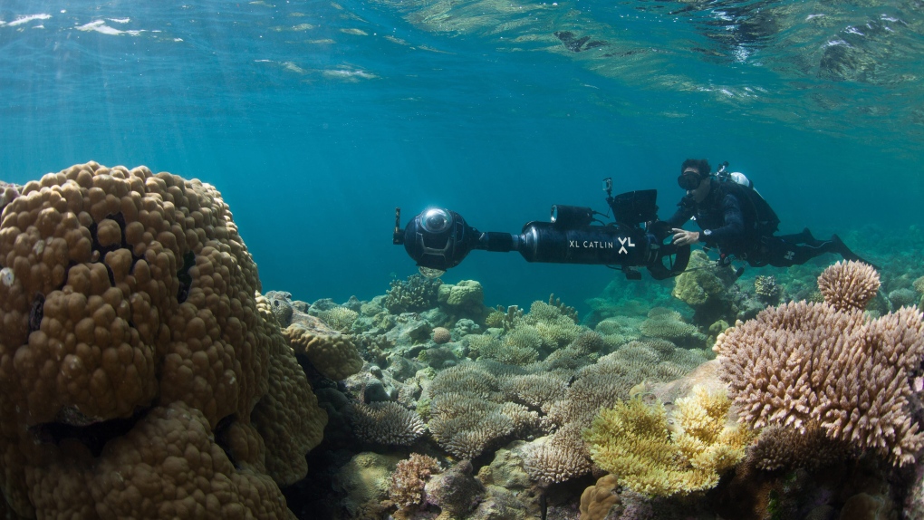 XL Catlin Seaview Survey photographs coral reefs 