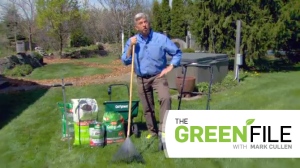 Mark Cullen tackles lawn care on this week's Green File