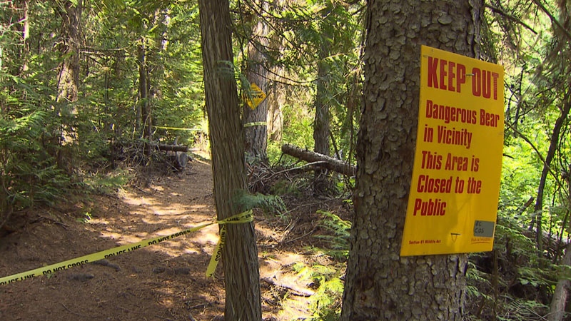 An area of Conkle Lake Provincial Park has been taped off as conservation officers look for the bear that attacked a woman over the weekend. 