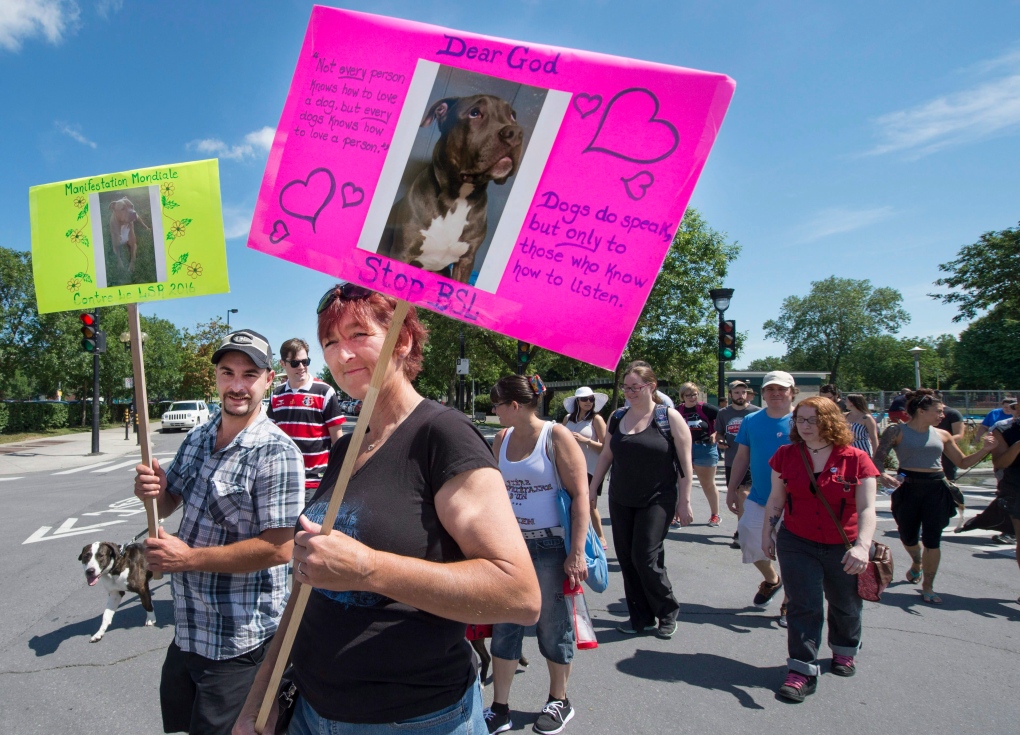 Pit bull ban protest